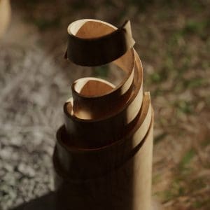 Ashes Styleframes Wicket Closeup