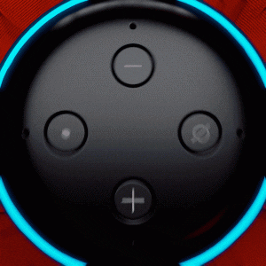 Officeworks Amazon Echo Close