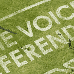 voice