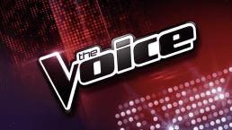 voice